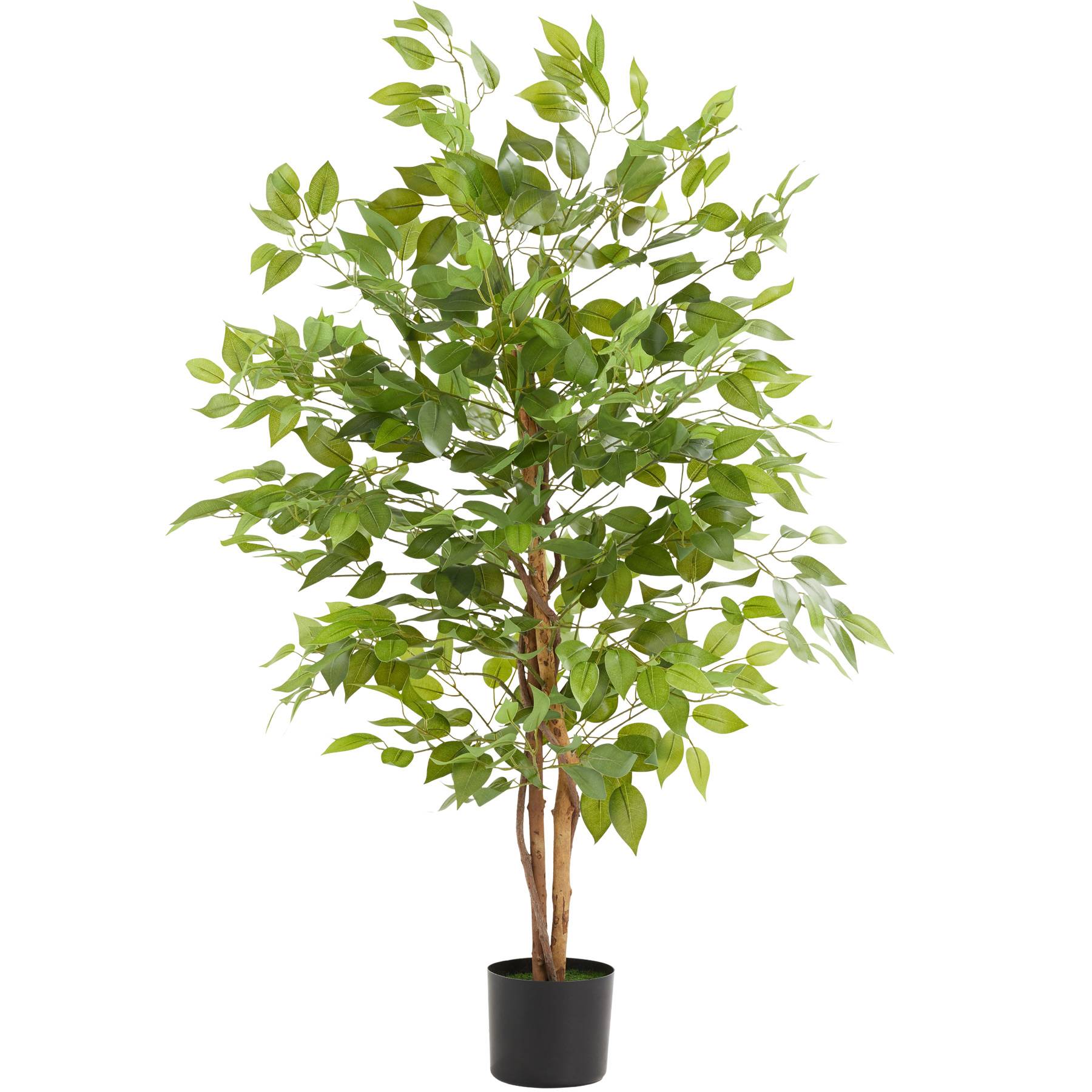 Artificial Fiscus Plant Fida