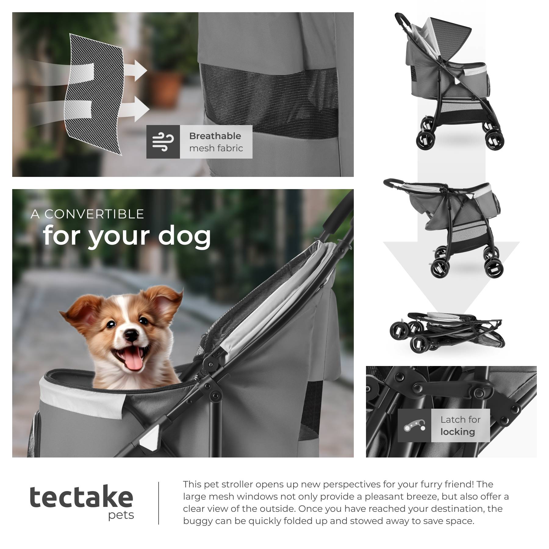 Buy Dog Stroller Eddy, foldable, adjustable seat belts