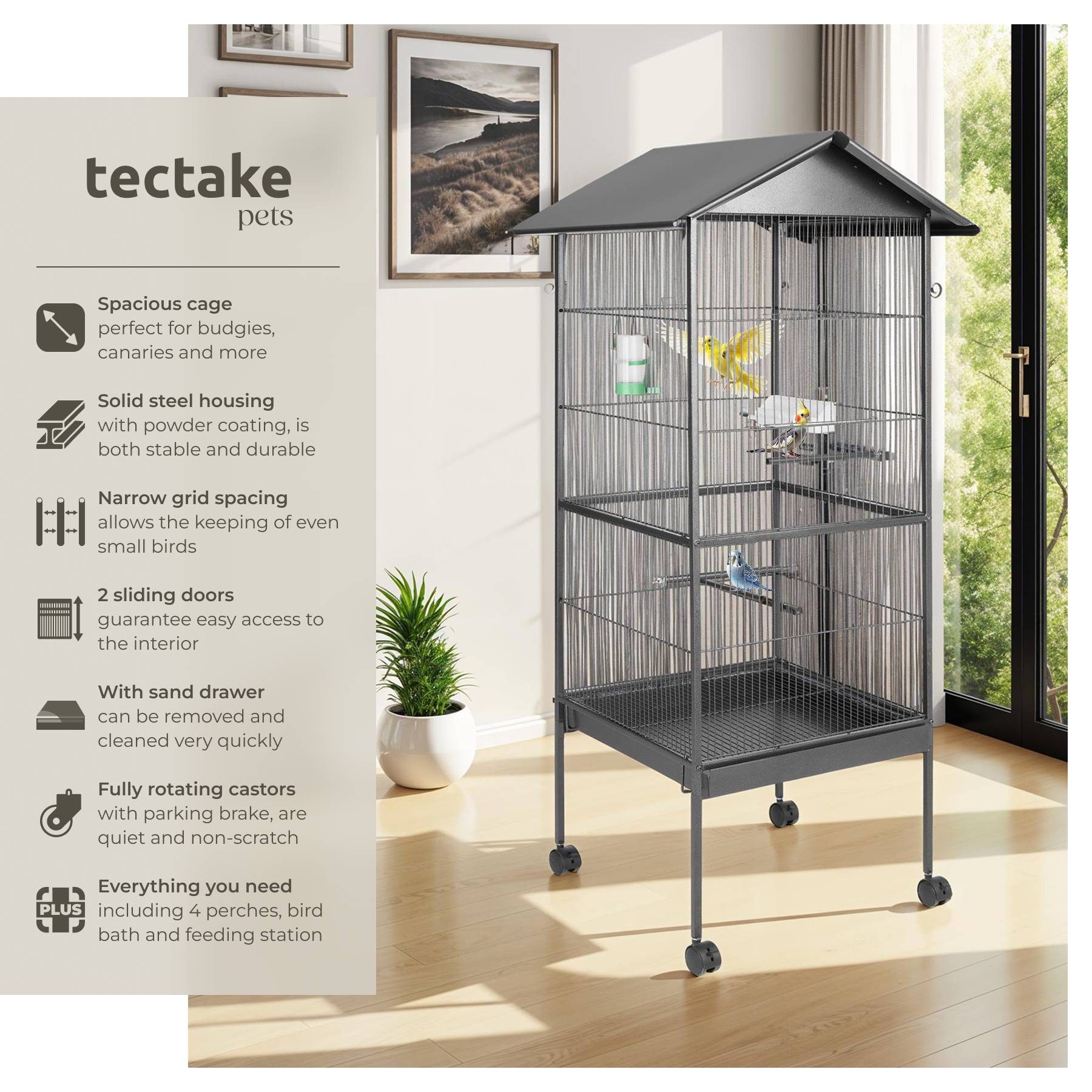 Optimize Cage Placement Parrot Habits photo