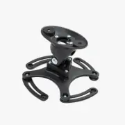 Projector mounts