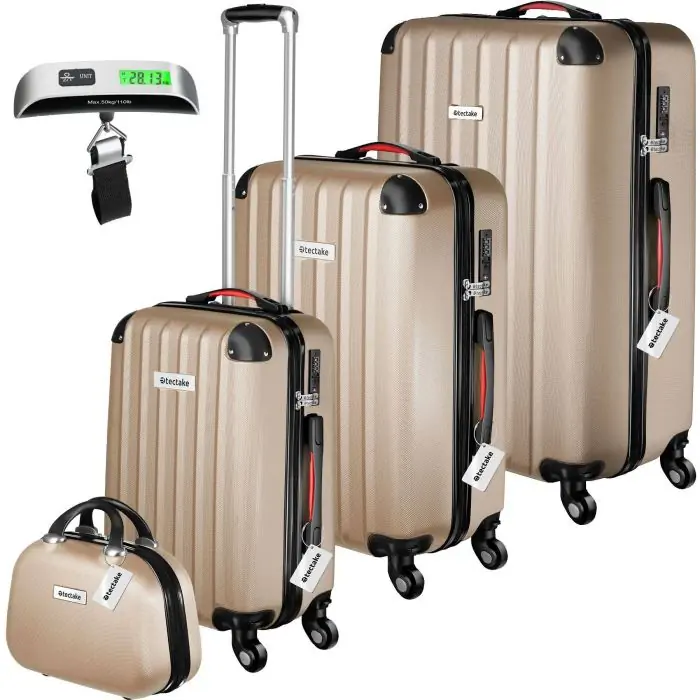 Suitcase Set Cleo